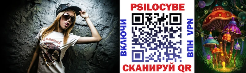 кракен ТОР Малая Вишера Псилоцибиновые грибы Psilocybine cubensis где можно купить